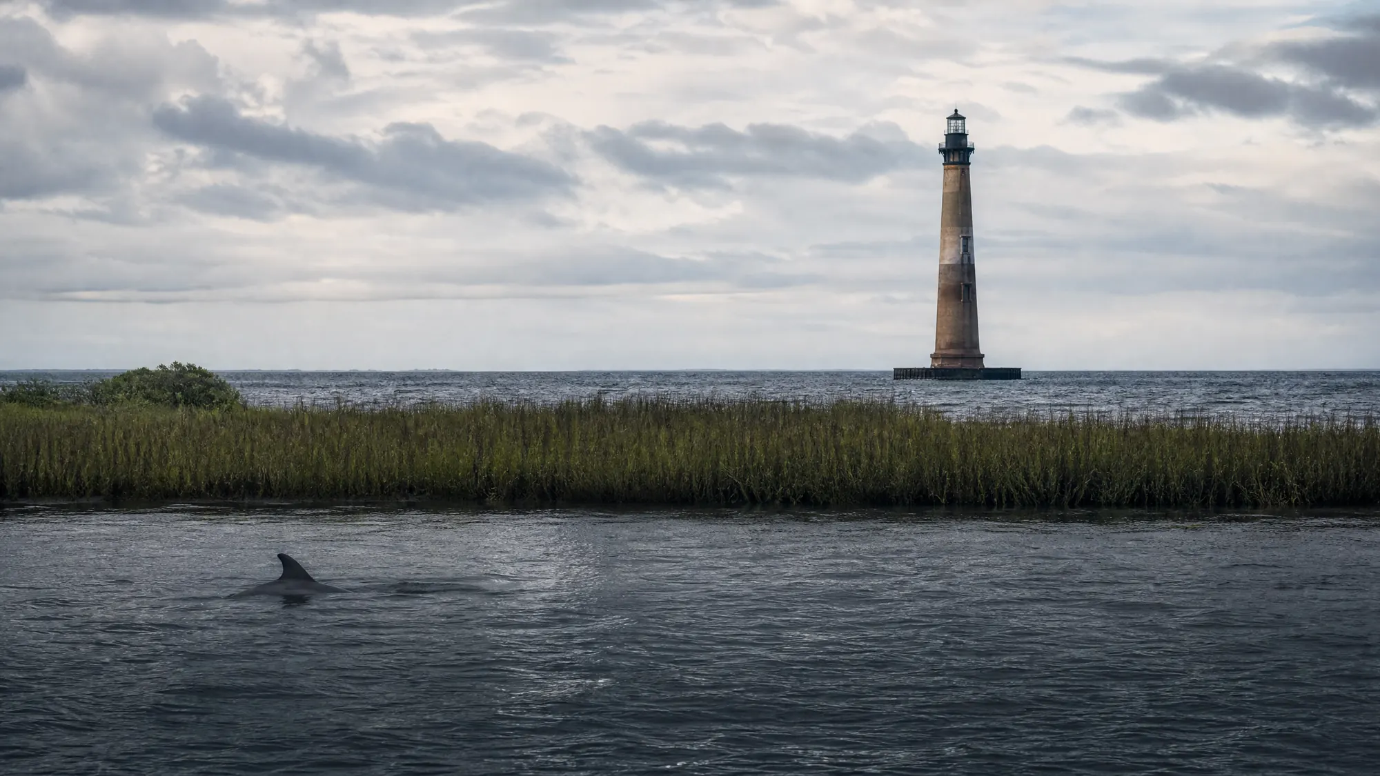 Admirez le plus haut phare de Caroline du Sud depuis l'eau. Réservez des excursions guidées en bateau à travers les criques à marée pour atteindre l'île inhabitée de Morris Island.