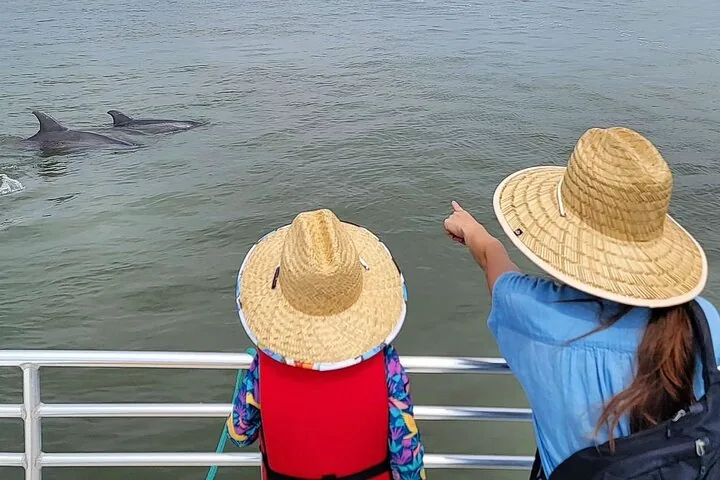 Deux personnes portant des chapeaux de paille regardent des dauphins nager à proximité depuis un bateau.